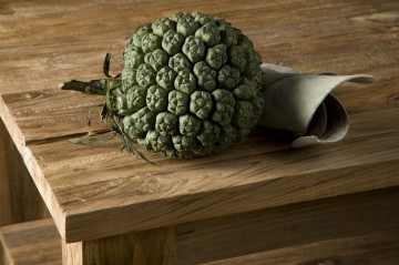 Detailfoto lorenzo 2